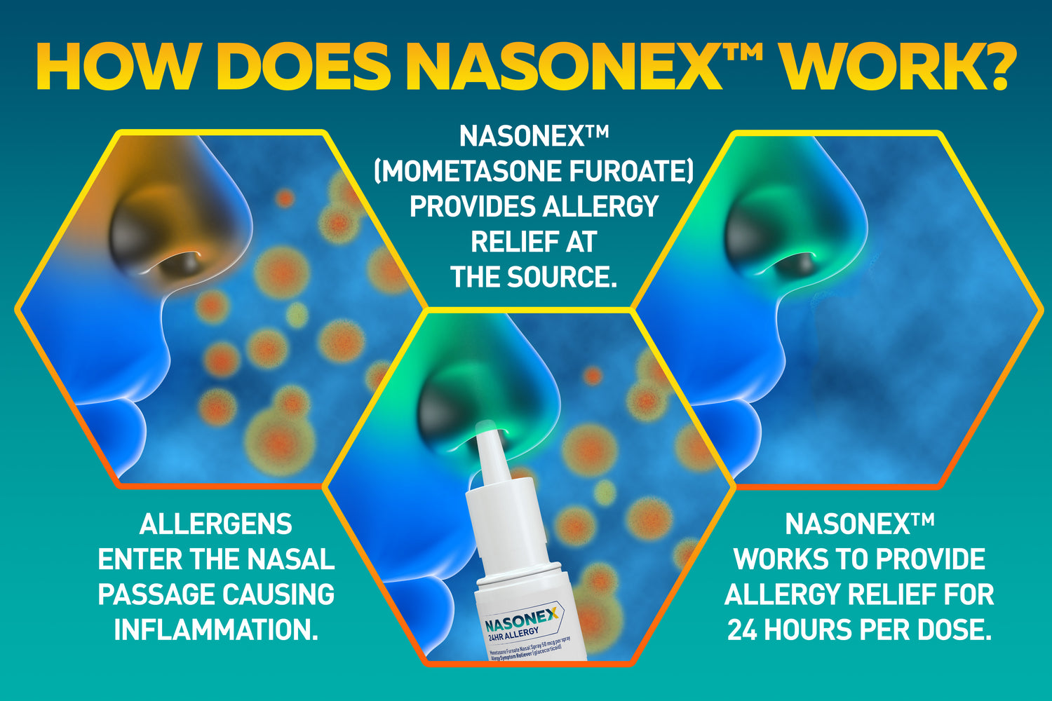  Nasonex 24HR Allergy Nasal Spray, Allergy + Congestion,  Non-Drowsy Relief in Full Prescription Strength, 120 Spray : Health &  Household