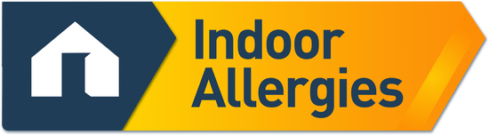Indoor Allergies