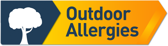 Outdoor Allergies